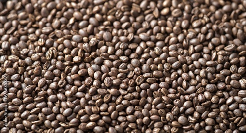 Organic chia plant seeds re...