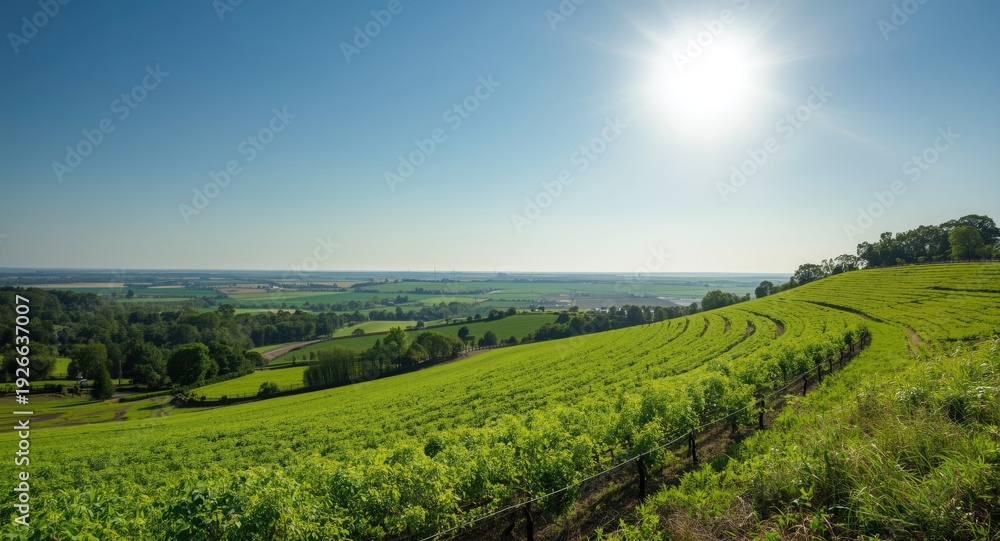 Obraz premium Picturesque greenery and agricultural land beneath bright sky