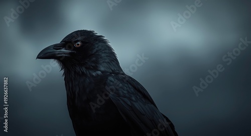 Noble crow queen against di...