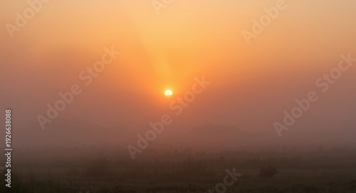 Misty summer morning with r...