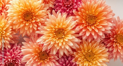 Wallpaper featuring radiant...
