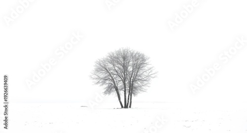 Plain white backdrop illust...