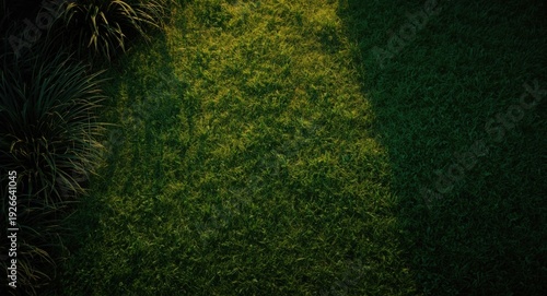 Elevated perspective of vib...