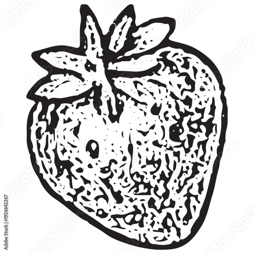 Fresh Strawberry Illustration for Summer Picnic Snacks