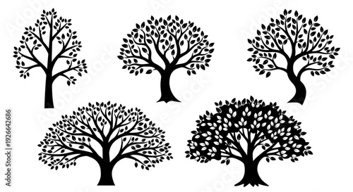 Set of five trees with varying foliage density, silhouetted against a plain background, viewed from the side.