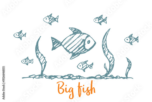 Big Fish Concept - Leadership And Standing Out Idea
