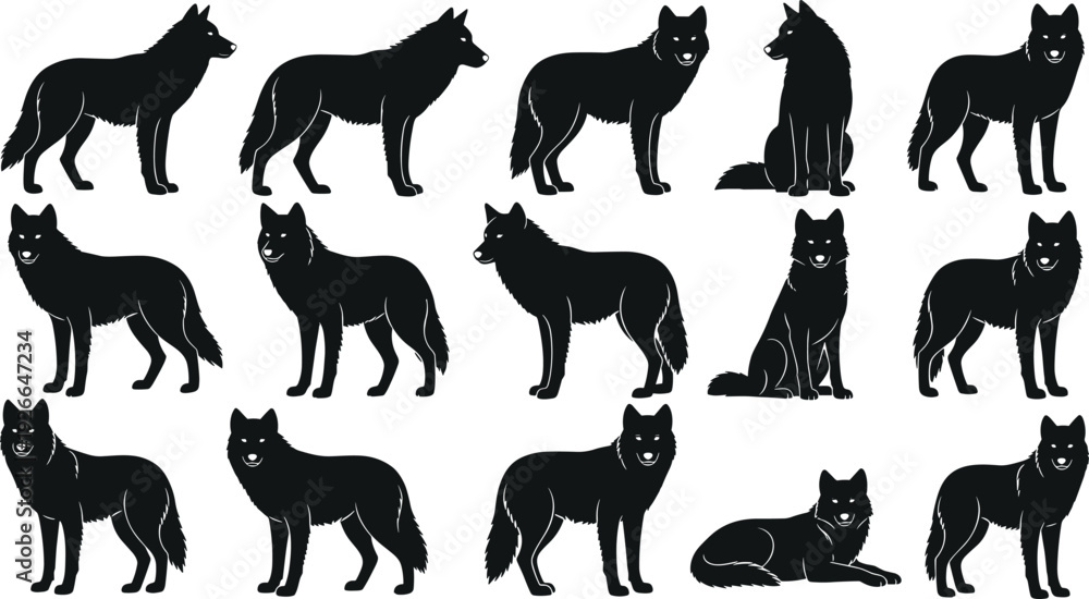 Fototapeta premium Black wolf silhouette collection, various standing and sitting timber wolf poses, wild predator vector set for nature and wildlife logo, (20 words)