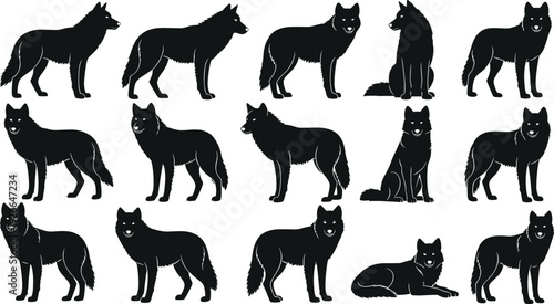 Black wolf silhouette collection, various standing and sitting timber wolf poses, wild predator vector set for nature and wildlife logo, (20 words)