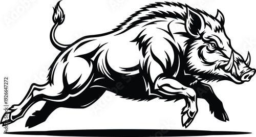 Charging wild boar vector illustration, aggressive forest hog jumping, powerful razorback mascot for hunting logo, black and white wood hog art, (20 words)