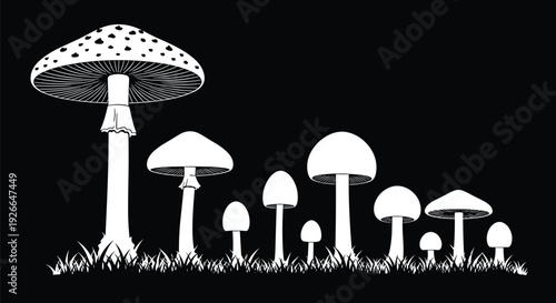 White vector silhouette collection of various forest mushrooms on black background for nature science botanical design and wild fungus research.