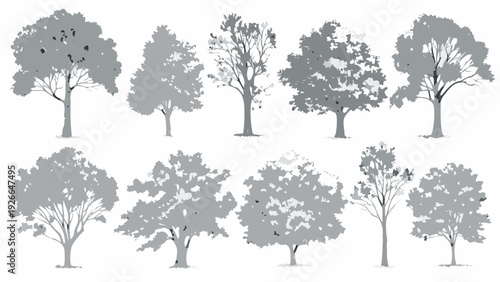 Collection of grayscale tree silhouettes against a plain white background