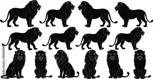 Lion silhouettes collection in standing and sitting poses isolated on white background wildlife animal illustration set.