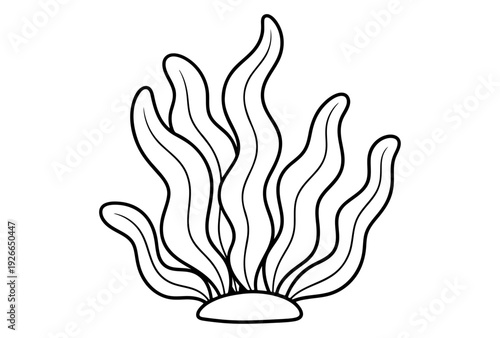 Simple Line Drawing Illustration of a Seaweed Plant on White Background