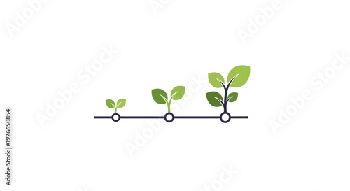 Green plants growing in line stages.