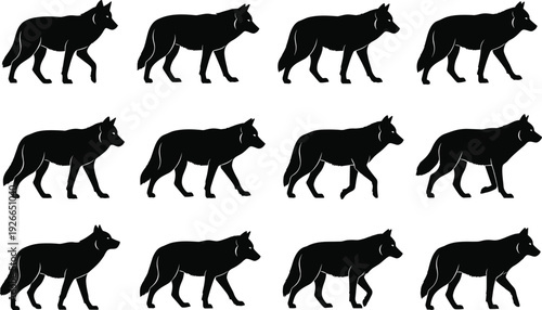 Wolf walking silhouette sequence, animal gait illustration, wildlife motion study
