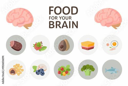 Food for your brain healthy options and illustrated brain imagery