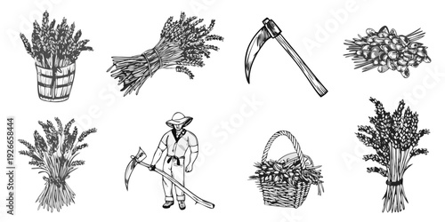 Vintage engraving of lavender farming tools and a farmer illustration