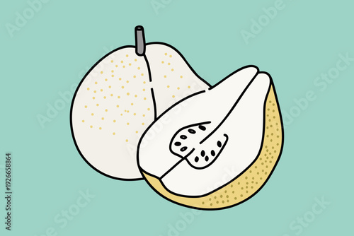 Illustration of a whole and sliced asian pear on a teal background