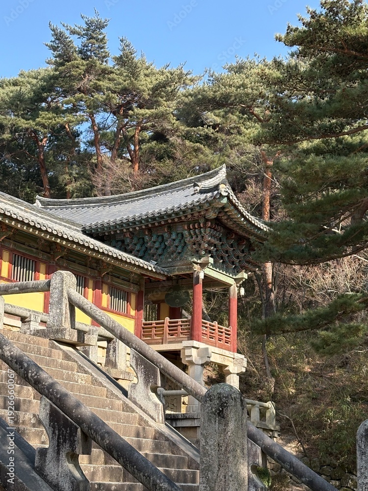 Obraz premium Scenic View of Traditional Korean Temple Nestled in Pine Tree Forest