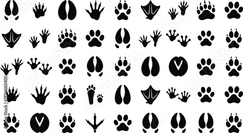 Animal tracks silhouettes collection with paw prints, hoof marks and bird footprints, wildlife black vector illustration isolated on white background