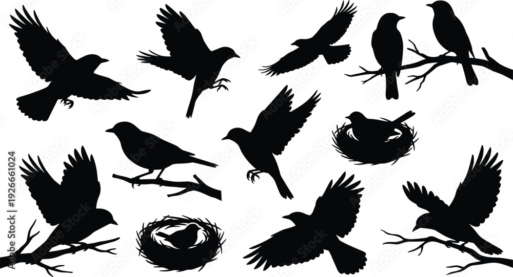 Obraz premium Crow and raven bird silhouettes collection with flying, perching and nest poses, black vector illustration isolated on white background for wildlife design