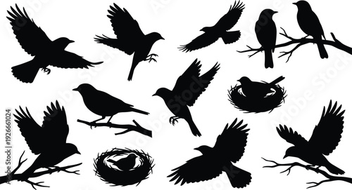 Crow and raven bird silhouettes collection with flying, perching and nest poses, black vector illustration isolated on white background for wildlife design