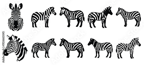 silhouette nature zebra stripe drawing icons and set of graphics nature elements