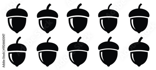 silhouette nature acorn nut drawing icons and set of graphics nature elements