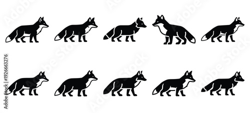 silhouette nature arctic fox drawing icons and set of graphics nature elements