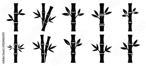 silhouette nature bamboo stalk drawing icons and set of graphics nature elements