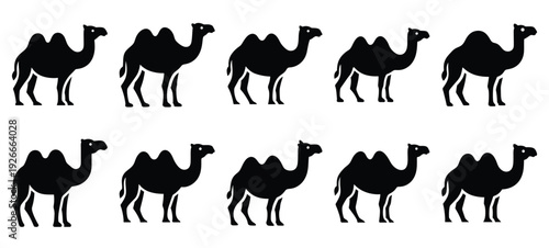 silhouette nature camel walk drawing icons and set of graphics nature elements