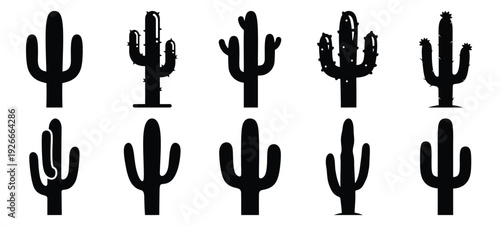 silhouette nature cactus plant drawing icons and set of graphics nature elements