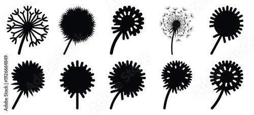 silhouette nature dandelion puff drawing icons and set of graphics nature elements