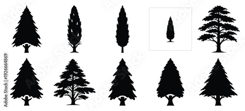silhouette nature cypress tree drawing icons and set of graphics nature elements