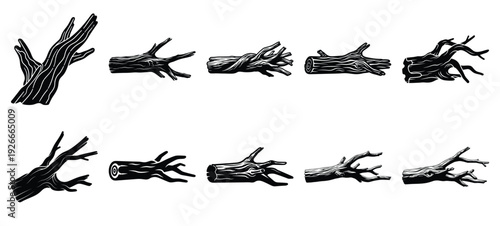 silhouette nature driftwood log drawing icons and set of graphics nature elements