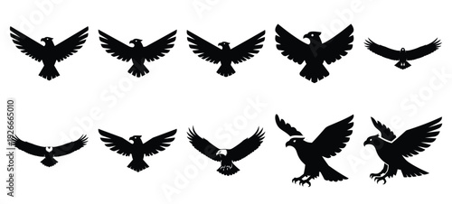 silhouette nature eagle spread drawing icons and set of graphics nature elements