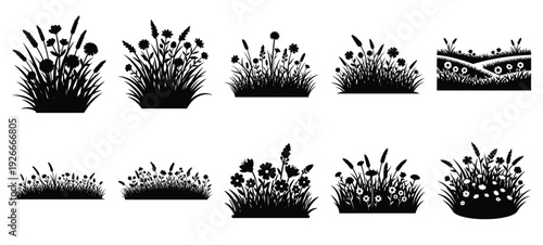 silhouette nature meadow bloom drawing icons and set of graphics nature elements