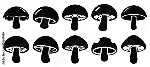 silhouette nature mushroom cap drawing icons and set of graphics nature elements