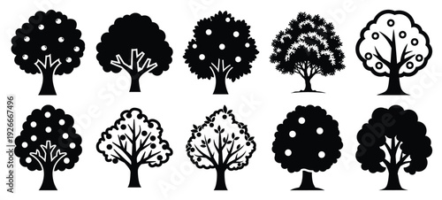 silhouette nature orchard tree drawing icons and set of graphics nature elements
