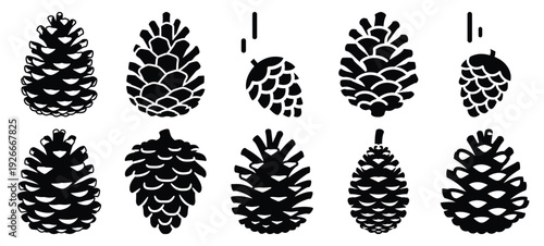 silhouette nature pinecone drop drawing icons and set of graphics nature elements