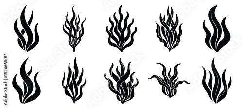 silhouette nature seaweed flow drawing icons and set of graphics nature elements