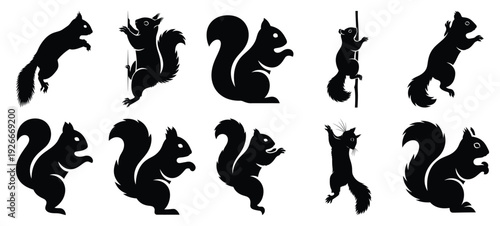 silhouette nature squirrel climb drawing icons and set of graphics nature elements