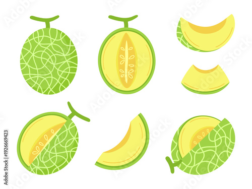 Japanese melon and cantaloupe vector set. Hand drawn flat illustration of whole and sliced sweet fruit for summer food concepts, healthy eating, and organic product design.