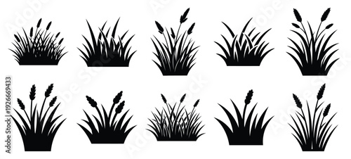 silhouette nature steppe grass drawing icons and set of graphics nature elements