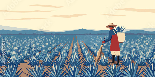 A farmer walks through a field of blue agave plants at sunset