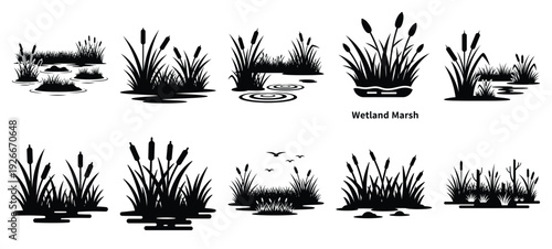 silhouette nature wetland marsh drawing icons and set of graphics nature elements