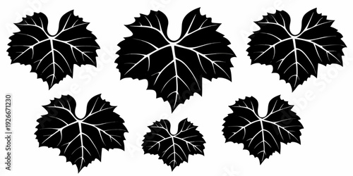 A collection of black grape leaves against a plain white background