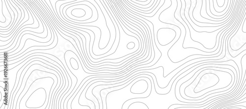 Modern topographical contour map background. topography wavy geometric lines relief surface pattern abstract vector illustration.