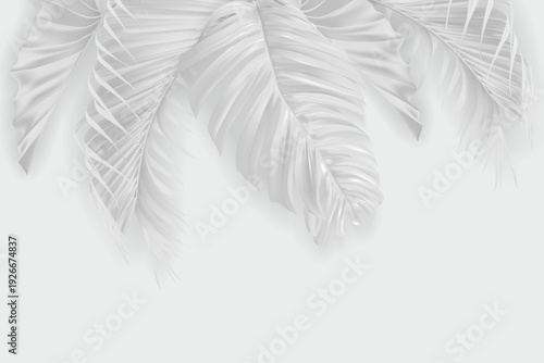 3D White Tropical Palm and Banana Leaves Background, Minimalist Monochrome Botanical Illustration for Wall Art and Interior Decor. Vector illustration