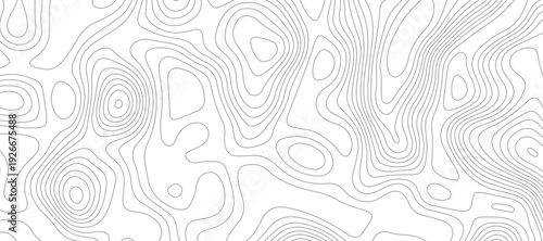 Modern topographical contour map background. topography wavy geometric lines relief surface pattern abstract vector illustration.